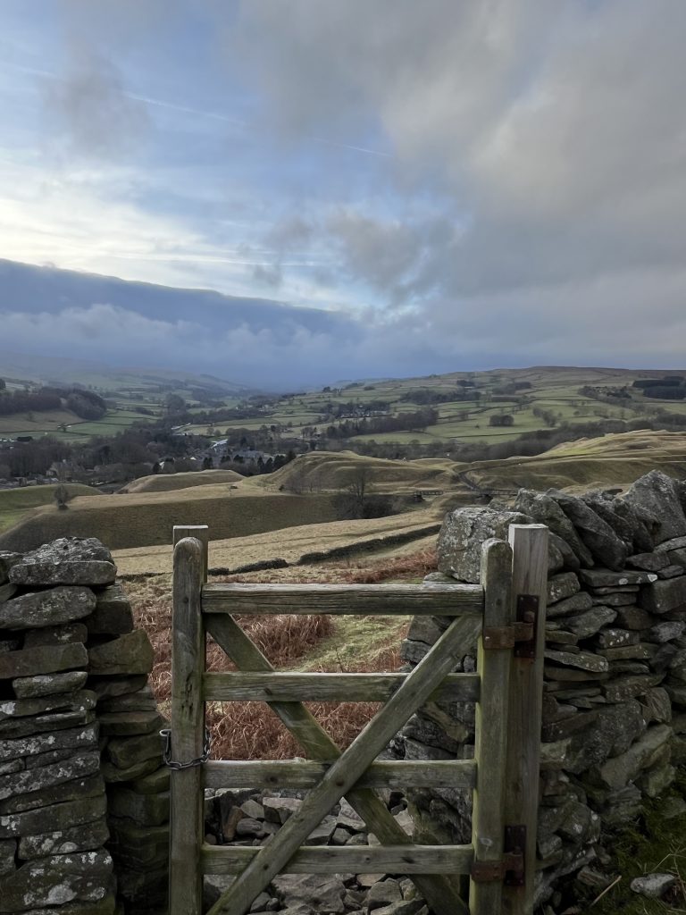 A view of Weardale by a gate