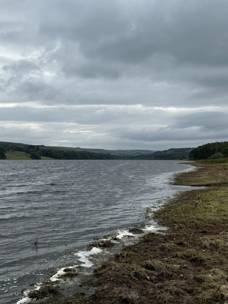 Shores of Derwent Reservoir
