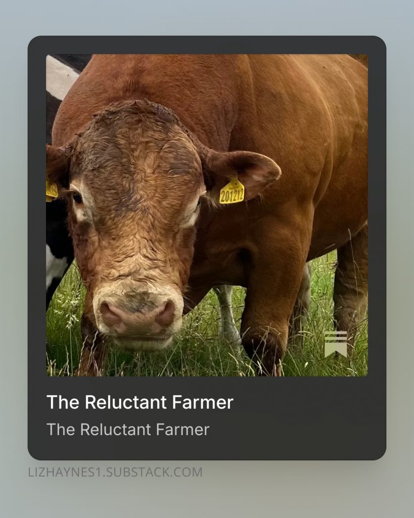 promotional pic of substack post The Reluctant Farmer