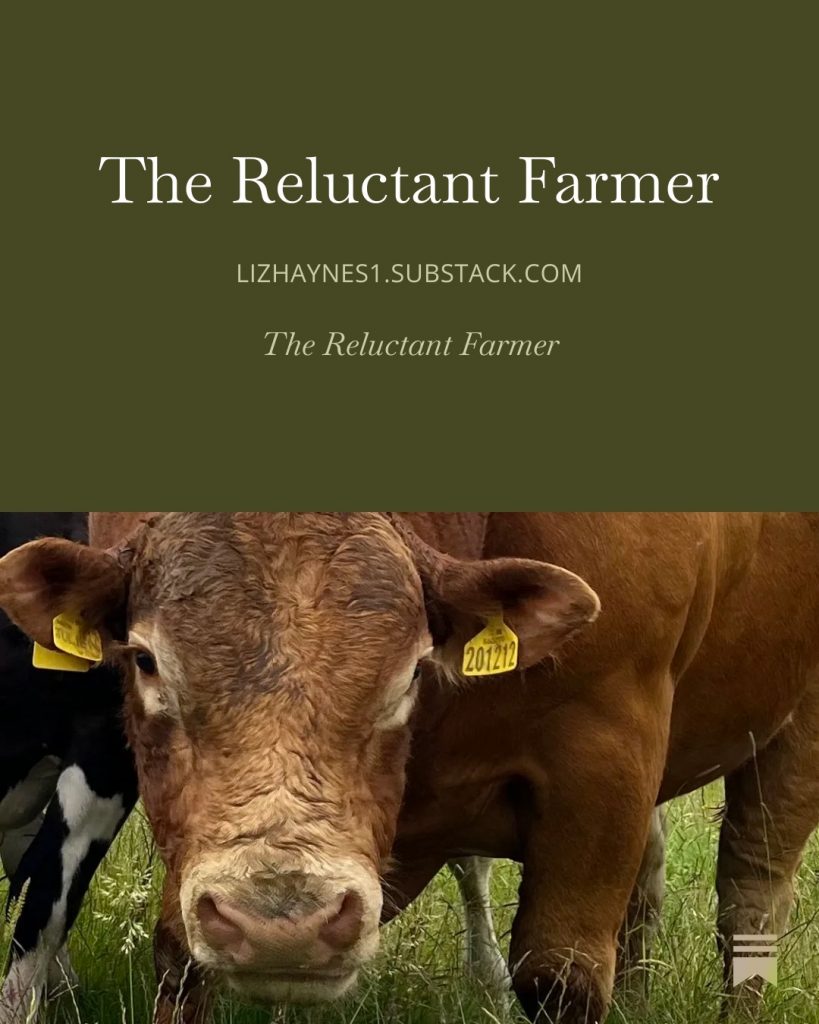 farming stories on substack